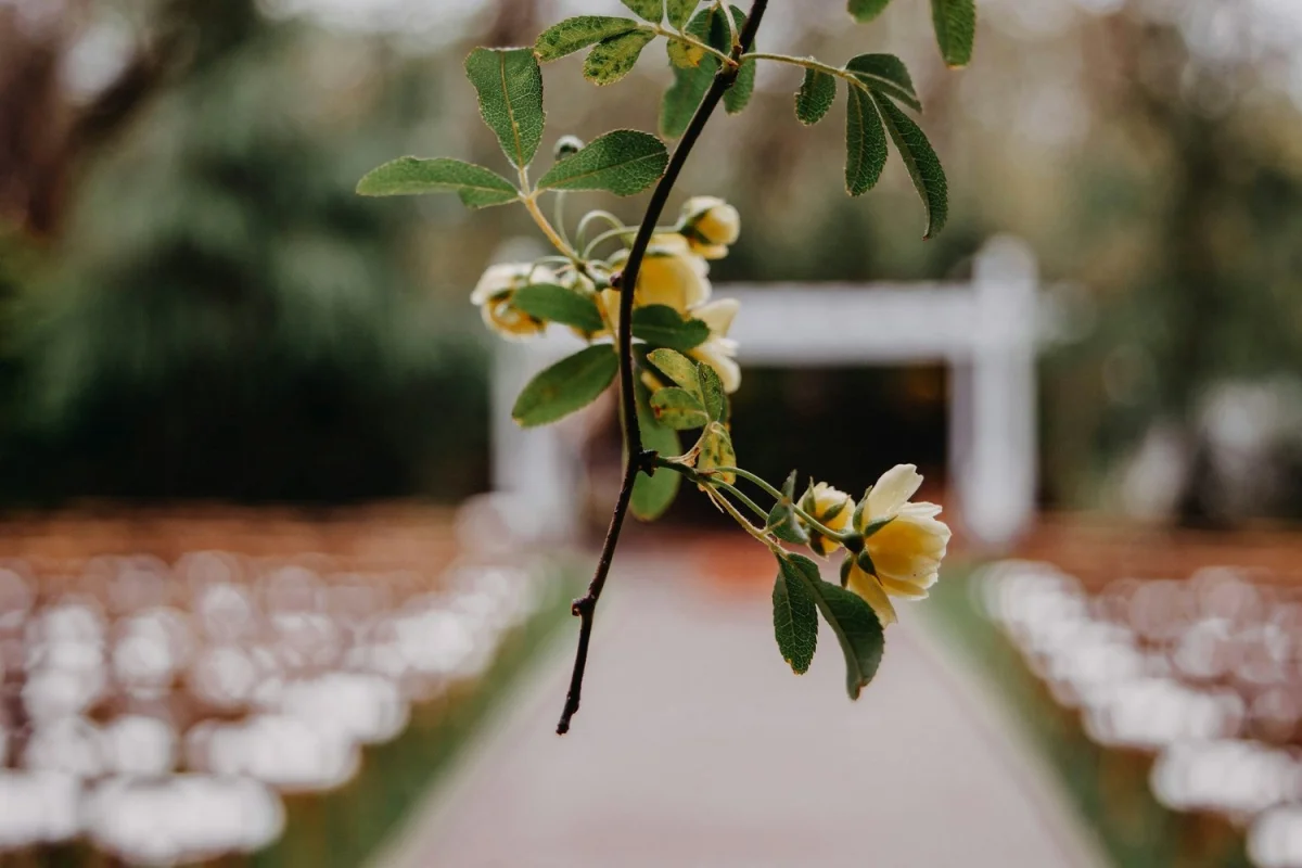 Mississauga Wedding Video Portraits: Waterfronts, Gardens and City Views