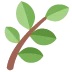 🌿