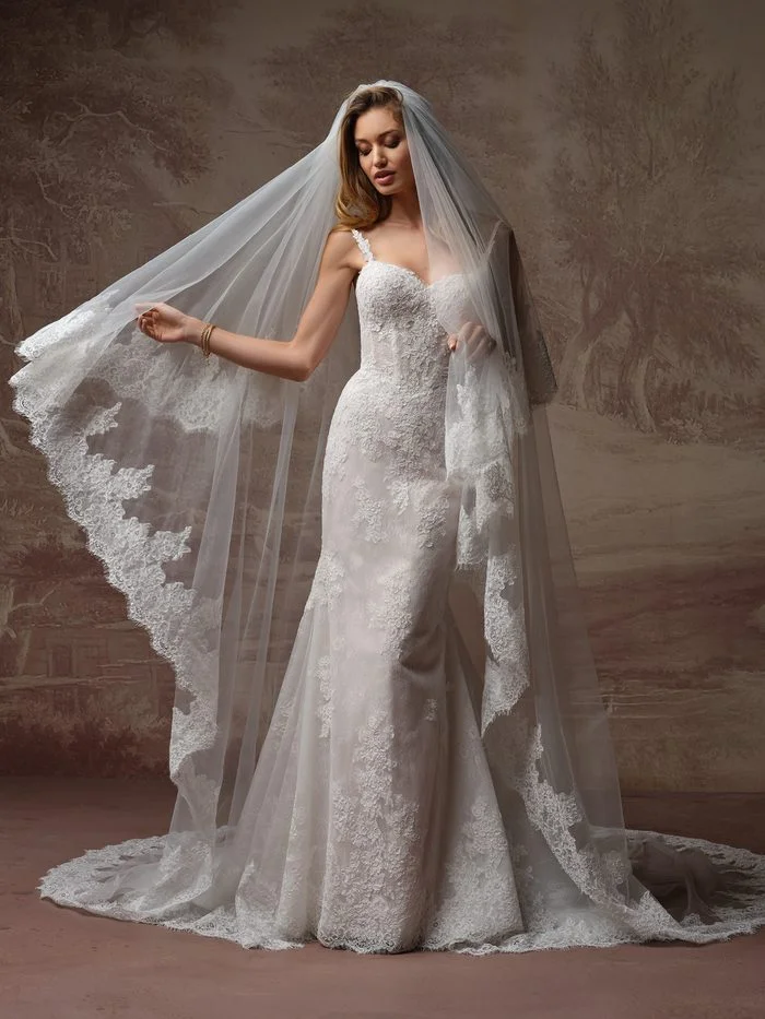 The Esmeralda Lane Veil by Rebecca Ingram is shown draped over a lace wedding gown. The cathedral-length veil features sheer tulle accented with delicate floral lace appliqués along the edges and train, creating a romantic framed effect around the gown. The scalloped lace border extends throughout the length of the veil, adding dimension and intricate detail.