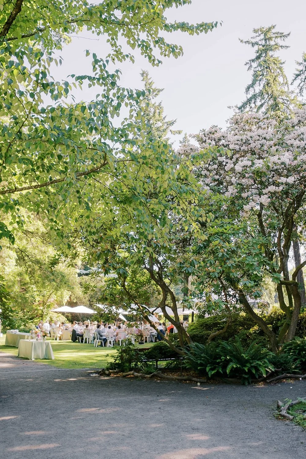 Emily_and_Bryan_Crystal_Springs_Rhododendron_Garden_Kelby_Maria_Photography