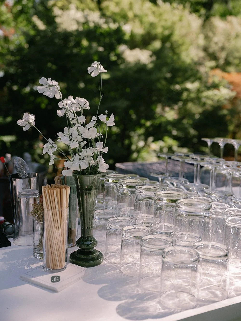 Gretchen + JC Wedding - Cocktail Hour-12.jpg