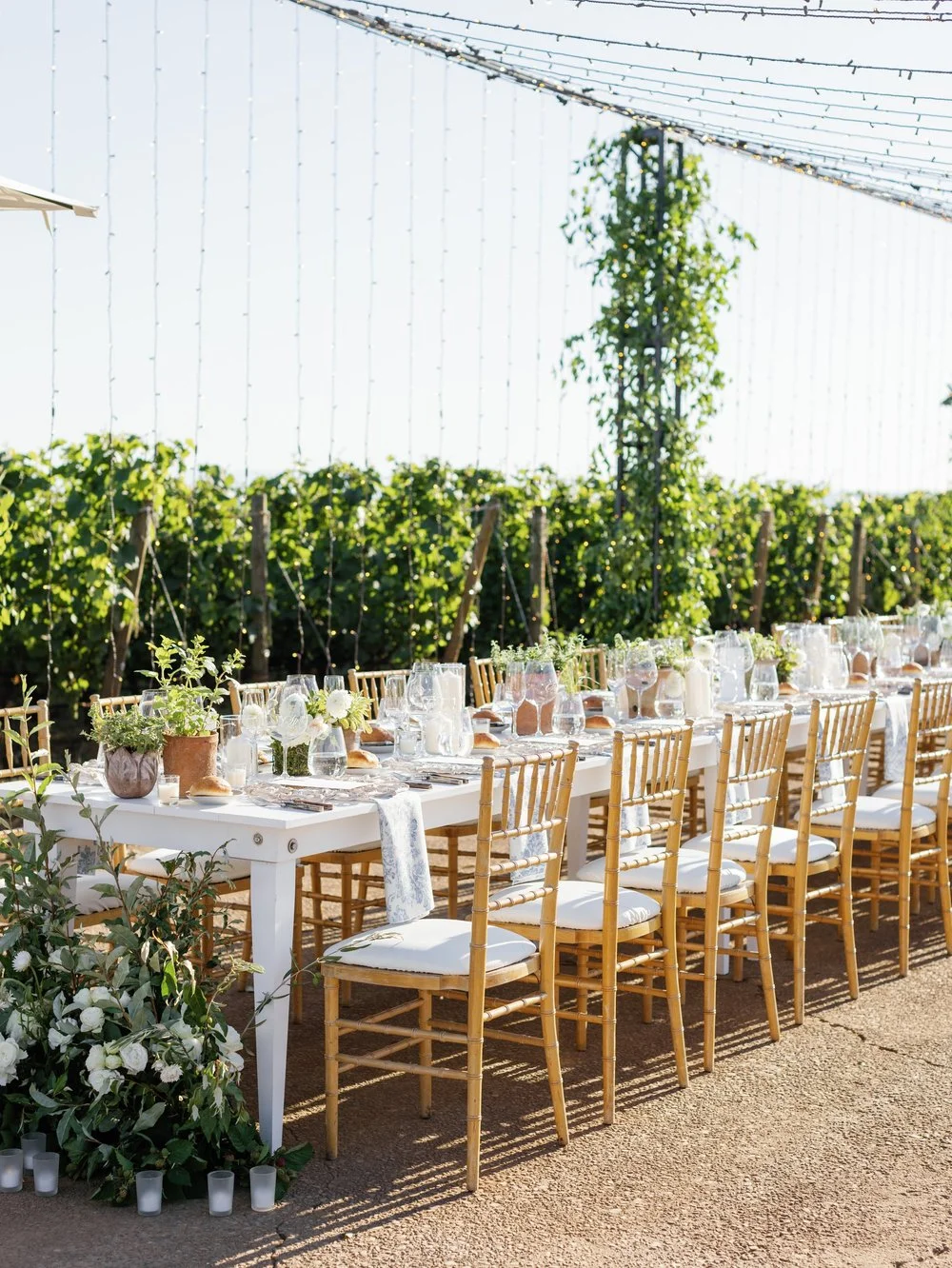 Caroline Mueller + John Switzer Wedding, 8.6.22, Stoller, Amanda K.jpg