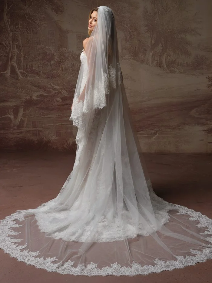 Esmeralda Lane wedding dress paired with a cathedral-length veil featuring floral lace trim and a dramatic scalloped train viewed from the back.