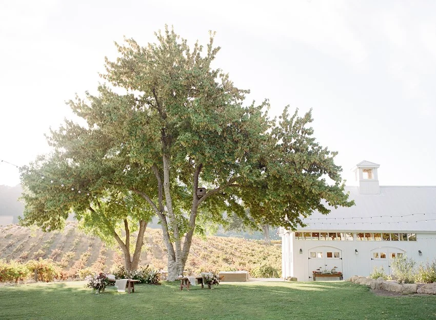 Stunning Vineyard Wedding Venue