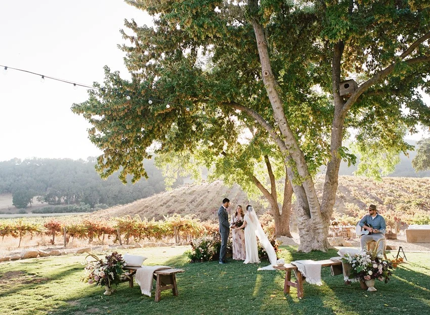 Romantic Vineyard Elopement