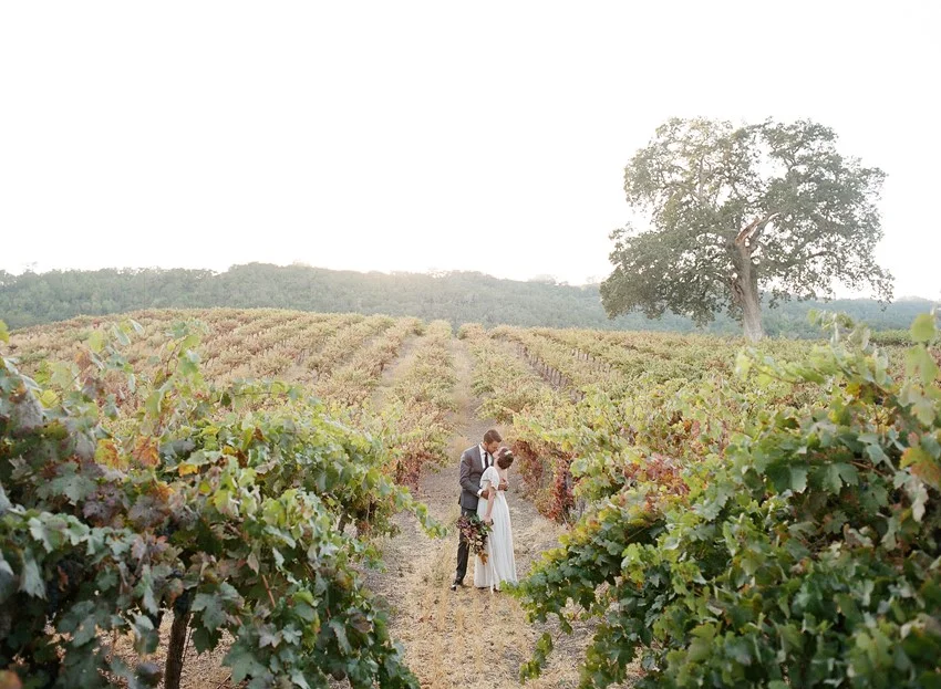 Vineyard Wedding Ideas