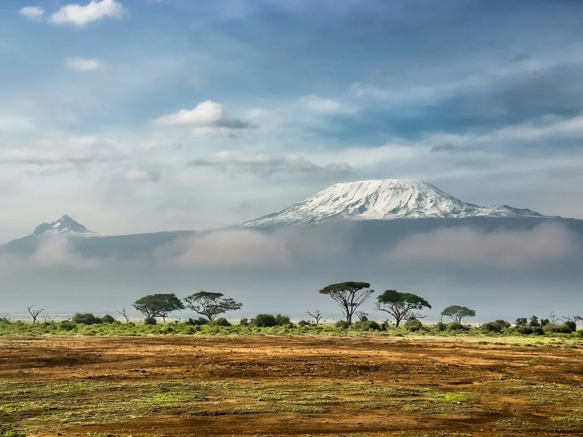 Snow-capped Mount Kilimanjaro above the clouds, with acacia trees on the plains below