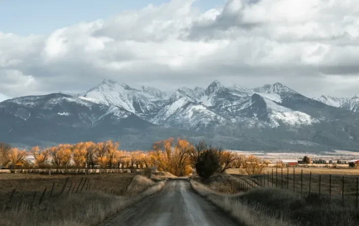 A serene rural landscape featuring a dirt road leading toward towering snow-capped mountains under a cloudy sky, with golden autumn trees framing the road.